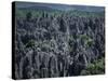 Limestone Stone Forest, Near Kunming, Yunnan Province, China-Occidor Ltd-Stretched Canvas