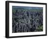 Limestone Stone Forest, Near Kunming, Yunnan Province, China-Occidor Ltd-Framed Premium Photographic Print