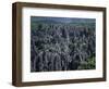 Limestone Stone Forest, Near Kunming, Yunnan Province, China-Occidor Ltd-Framed Photographic Print