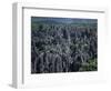 Limestone Stone Forest, Near Kunming, Yunnan Province, China-Occidor Ltd-Framed Photographic Print