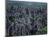 Limestone Stone Forest, Near Kunming, Yunnan Province, China-Occidor Ltd-Mounted Photographic Print