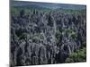 Limestone Stone Forest, Near Kunming, Yunnan Province, China-Occidor Ltd-Mounted Photographic Print