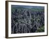 Limestone Stone Forest, Near Kunming, Yunnan Province, China-Occidor Ltd-Framed Photographic Print