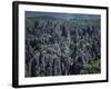 Limestone Stone Forest, Near Kunming, Yunnan Province, China-Occidor Ltd-Framed Photographic Print