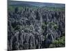 Limestone Stone Forest, Near Kunming, Yunnan Province, China-Occidor Ltd-Mounted Photographic Print