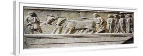 Limestone "Sulcus Primigenius" Relief, Representing Ceremony of Foundation of City of Aquileia-null-Framed Giclee Print