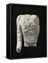 Limestone Torso of a Warrior, from Entremont-null-Framed Stretched Canvas