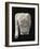 Limestone Torso of a Warrior, from Entremont-null-Framed Giclee Print