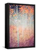 Liminal Fall-Ursula Abresch-Framed Stretched Canvas