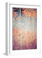 Liminal Fall-Ursula Abresch-Framed Photographic Print