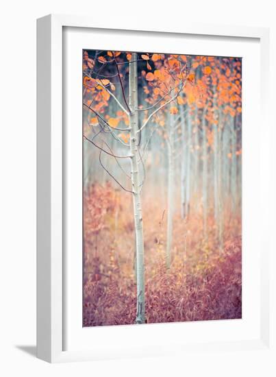 Liminal Fall-Ursula Abresch-Framed Photographic Print