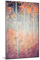 Liminal Fall-Ursula Abresch-Mounted Photographic Print