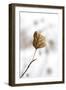 Liminal-Ursula Abresch-Framed Photographic Print