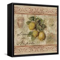 Limonidi Napoli-Thomas L. Cathey-Framed Stretched Canvas