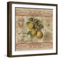 Limonidi Napoli-Thomas L. Cathey-Framed Art Print