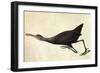 Limpkin-John James Audubon-Framed Art Print