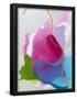 Essential Black
