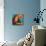 Linaje Valencia Oranges-null-Mounted Art Print displayed on a wall