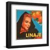 Linaje Valencia Oranges-null-Framed Art Print