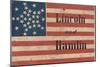 Lincoln and Hamlin Campaign Banner-null-Mounted Premium Giclee Print