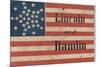 Lincoln and Hamlin Campaign Banner-null-Mounted Giclee Print