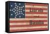 Lincoln and Hamlin Campaign Banner-null-Framed Stretched Canvas