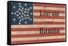 Lincoln and Hamlin Campaign Banner-null-Framed Stretched Canvas