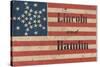 Lincoln and Hamlin Campaign Banner-null-Stretched Canvas