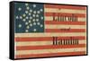 Lincoln and Hamlin Campaign Flag-null-Framed Stretched Canvas