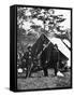 Lincoln at Antietam-null-Framed Stretched Canvas