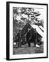 Lincoln at Antietam-null-Framed Photographic Print