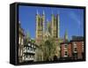 Lincoln Cathedral, Lincoln, Lincolnshire, England, United Kingdom, Europe-Neale Clarke-Framed Stretched Canvas