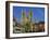 Lincoln Cathedral, Lincoln, Lincolnshire, England, United Kingdom, Europe-Neale Clarke-Framed Photographic Print