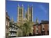 Lincoln Cathedral, Lincoln, Lincolnshire, England, United Kingdom, Europe-Neale Clarke-Mounted Photographic Print