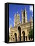 Lincoln Cathedral, Lincoln, Lincolnshire, England-Steve Vidler-Framed Stretched Canvas