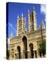 Lincoln Cathedral, Lincoln, Lincolnshire, England-Steve Vidler-Stretched Canvas