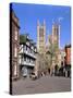 Lincoln Cathedral, Lincolnshire-Peter Thompson-Stretched Canvas