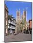 Lincoln Cathedral, Lincolnshire-Peter Thompson-Mounted Photographic Print