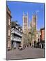 Lincoln Cathedral, Lincolnshire-Peter Thompson-Mounted Photographic Print