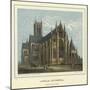 Lincoln Cathedral, South East View-Hablot Knight Browne-Mounted Giclee Print