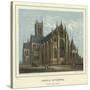 Lincoln Cathedral, South East View-Hablot Knight Browne-Stretched Canvas