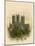 Lincoln Cathedral, South West-Arthur Wilde Parsons-Mounted Giclee Print