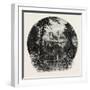 Lincoln Cathedral-null-Framed Giclee Print