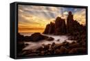 Canvas Black