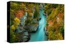 Stretched Canvas