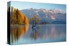 Stretched Canvas