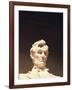 Lincoln Memorial, Abraham Lincoln Memorial Statue, Washington DC, USA-Walter Bibikow-Framed Photographic Print