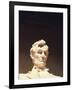 Lincoln Memorial, Abraham Lincoln Memorial Statue, Washington DC, USA-Walter Bibikow-Framed Photographic Print