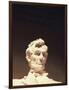 Lincoln Memorial, Abraham Lincoln Memorial Statue, Washington DC, USA-Walter Bibikow-Framed Photographic Print