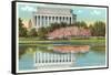 Lincoln Memorial, Cherry Blossoms, Washington D.C.-null-Framed Stretched Canvas